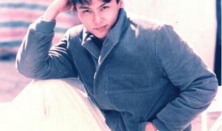 张卫健tvb 张卫健tvb