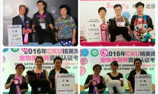 宠物美容师学费多少